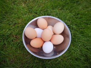 Frische Eier aus Velbert