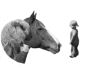 Angebote Tiergestützte Pädagogik Gut Schmitz-Steinbeck Velbert Sabine Pollmeier
